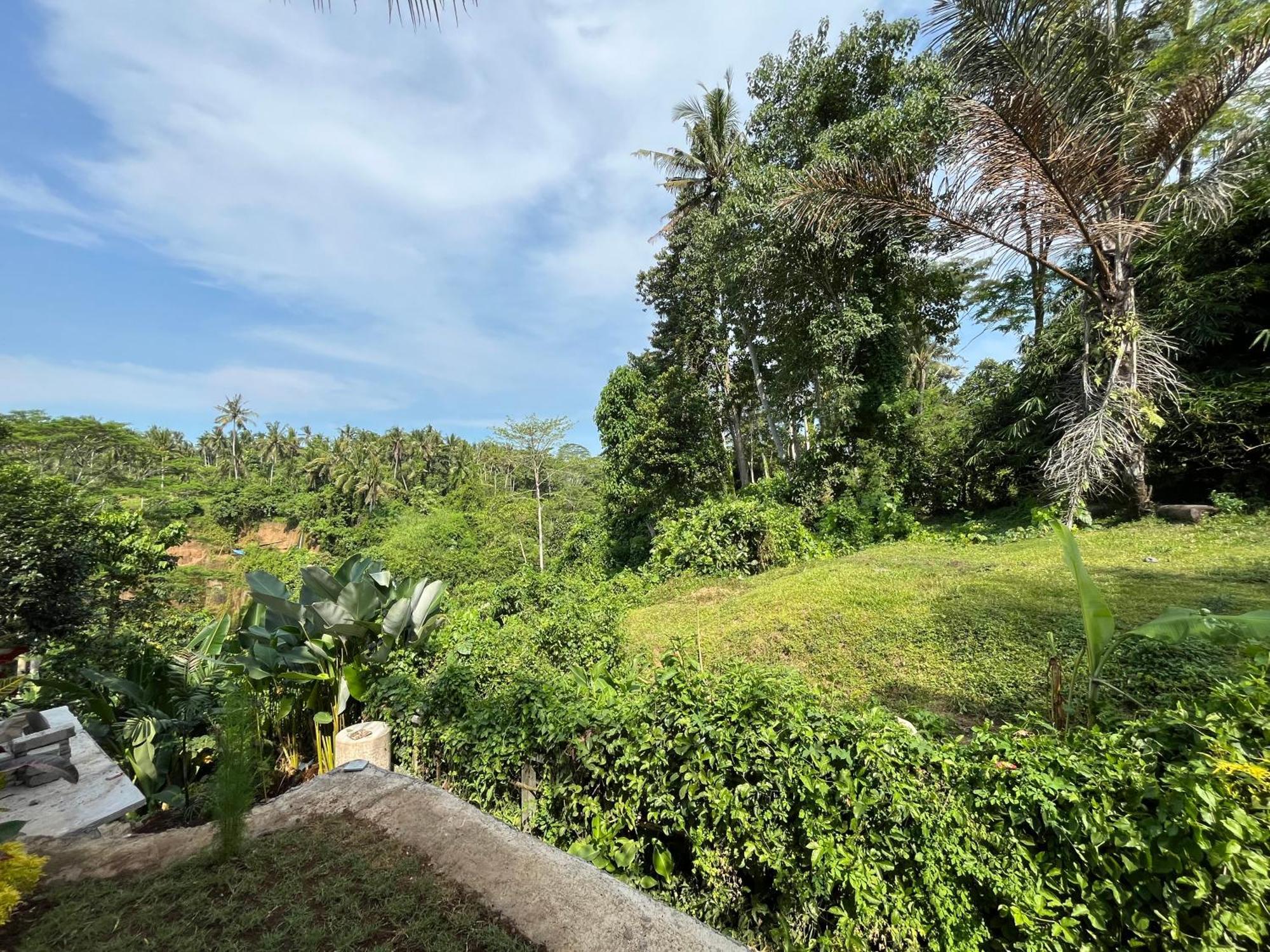 D'Nanda Villa Ubud Buitenkant foto