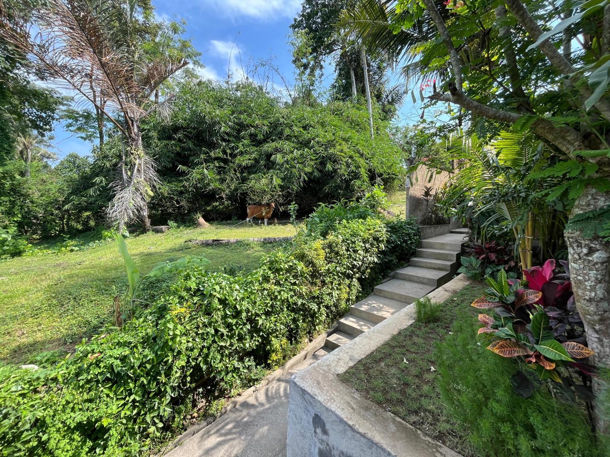 D'Nanda Villa Ubud Buitenkant foto